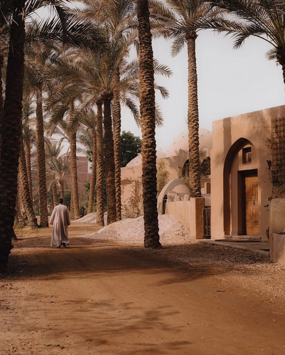Nile ConciergeDawn with the Desert Fathers • Wadi El Natrun