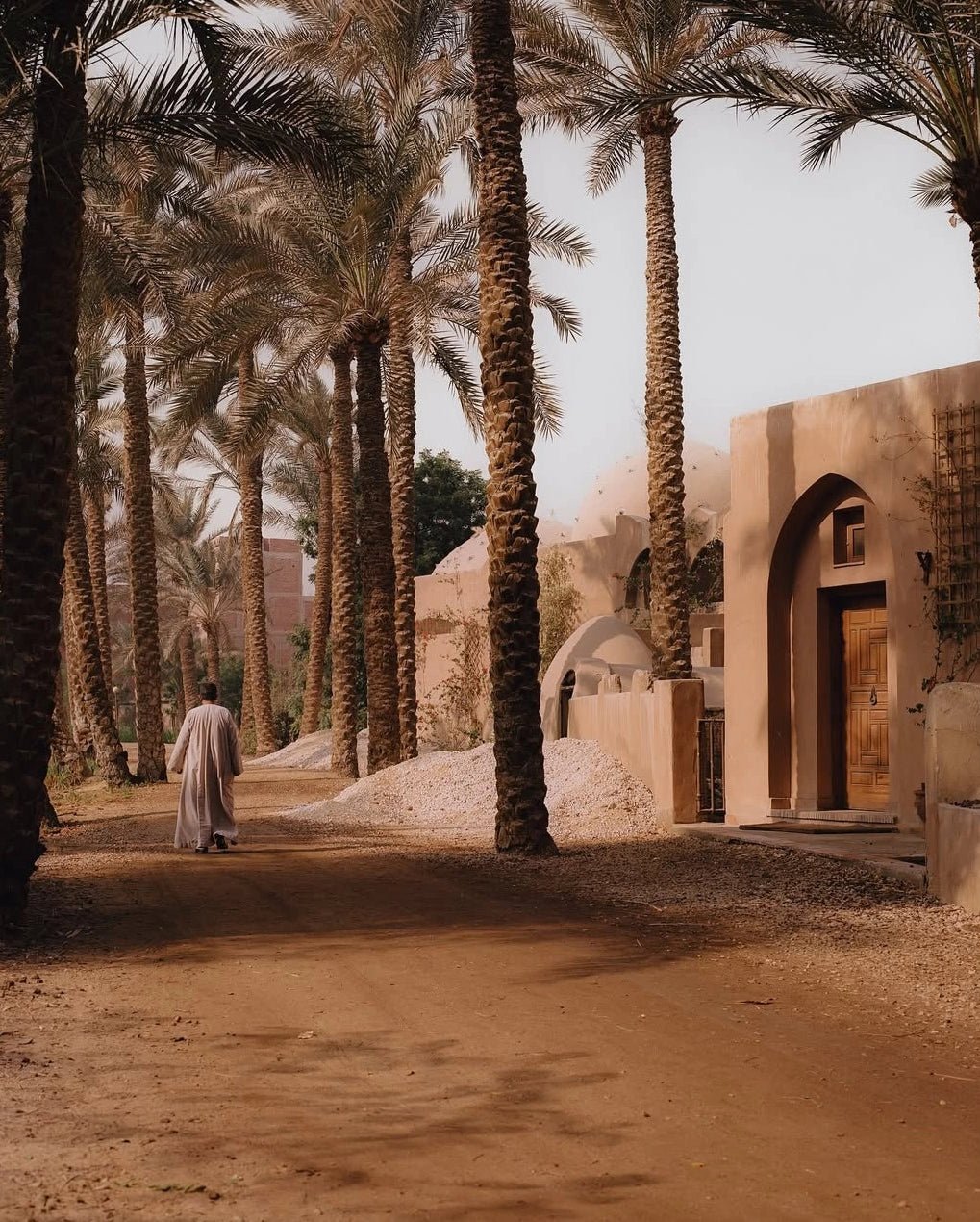 Nile ConciergeDawn with the Desert Fathers • Wadi El Natrun